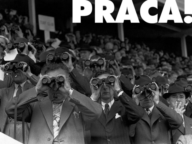 Oferta pracy: Specjalista / Specjalistka ds.&nbsp;sprzedaży – Bluebeam Revu